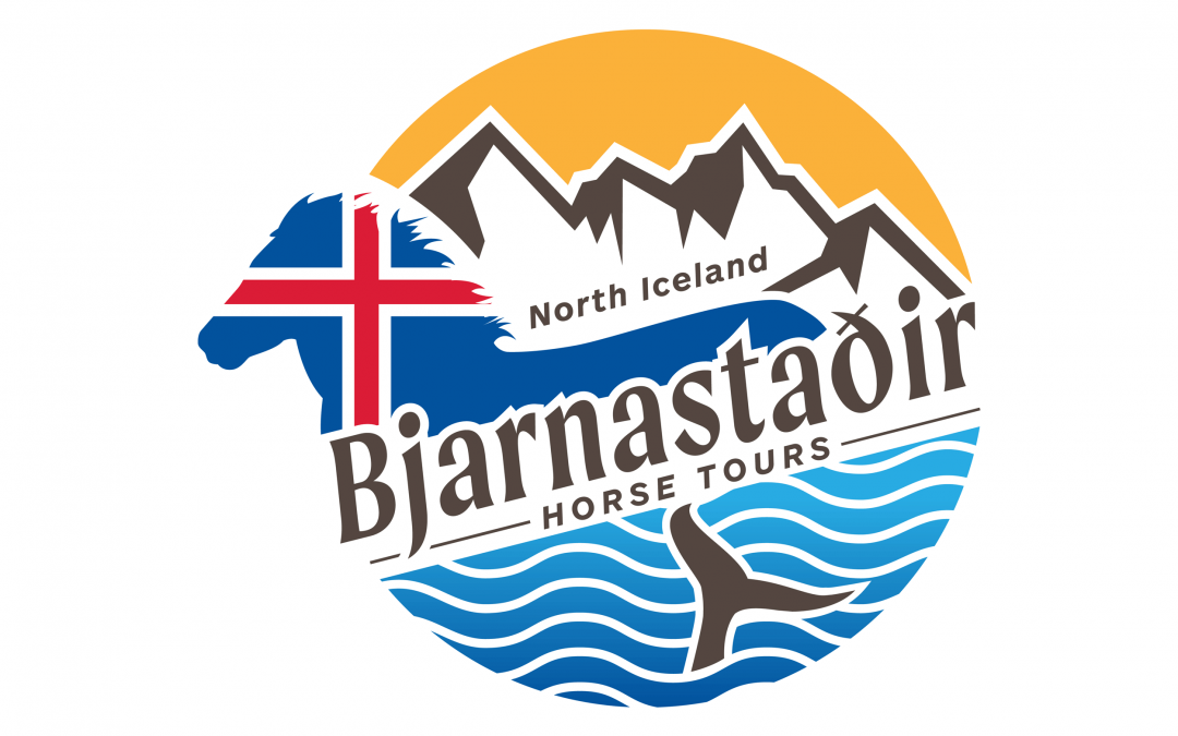 Bjarnastadir Horse Tours